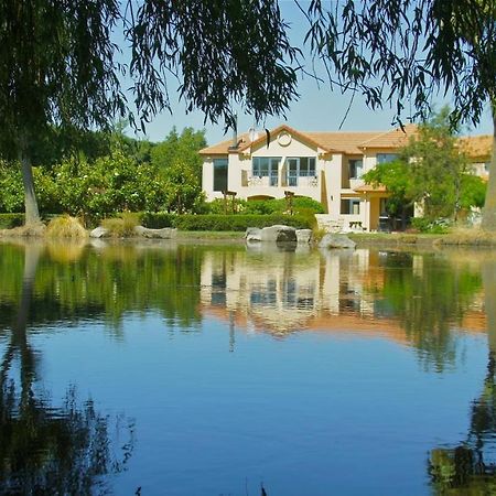Tuscany Downs Estate Darfield Kültér fotó