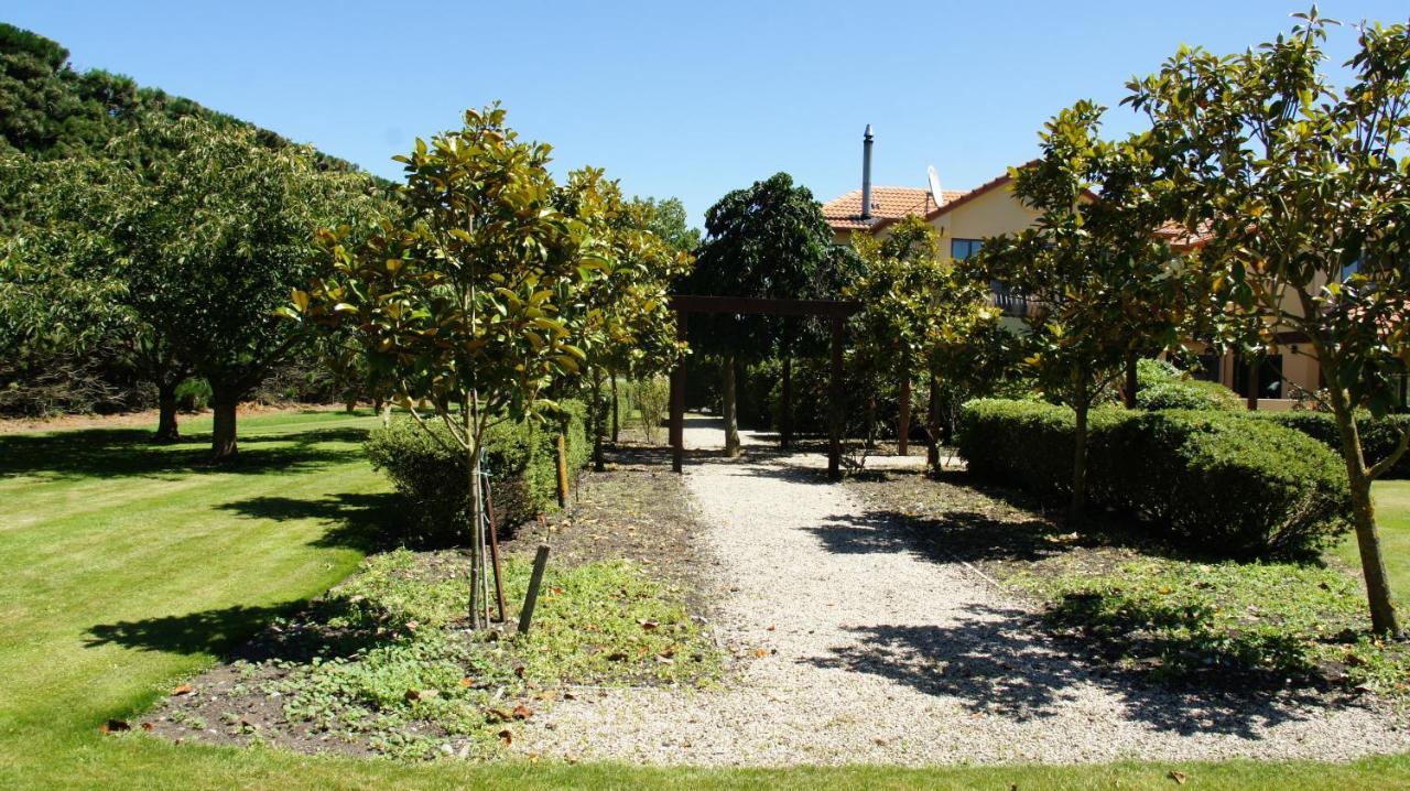 Tuscany Downs Estate Darfield Kültér fotó